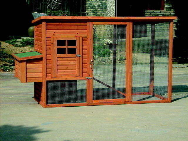 chicken coop door. How to Build a Chicken Coop |
