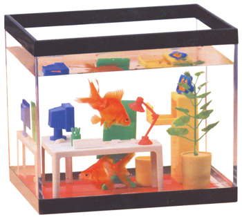 Fish Tank Sizes on Determine The Size Of The Fish Tank Make A Drawing
